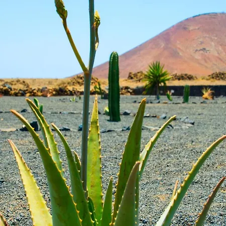 Casa Rural Con Piscina, Wifi Y Estupenda Vistas A Volcan, Lanzarote Villa *